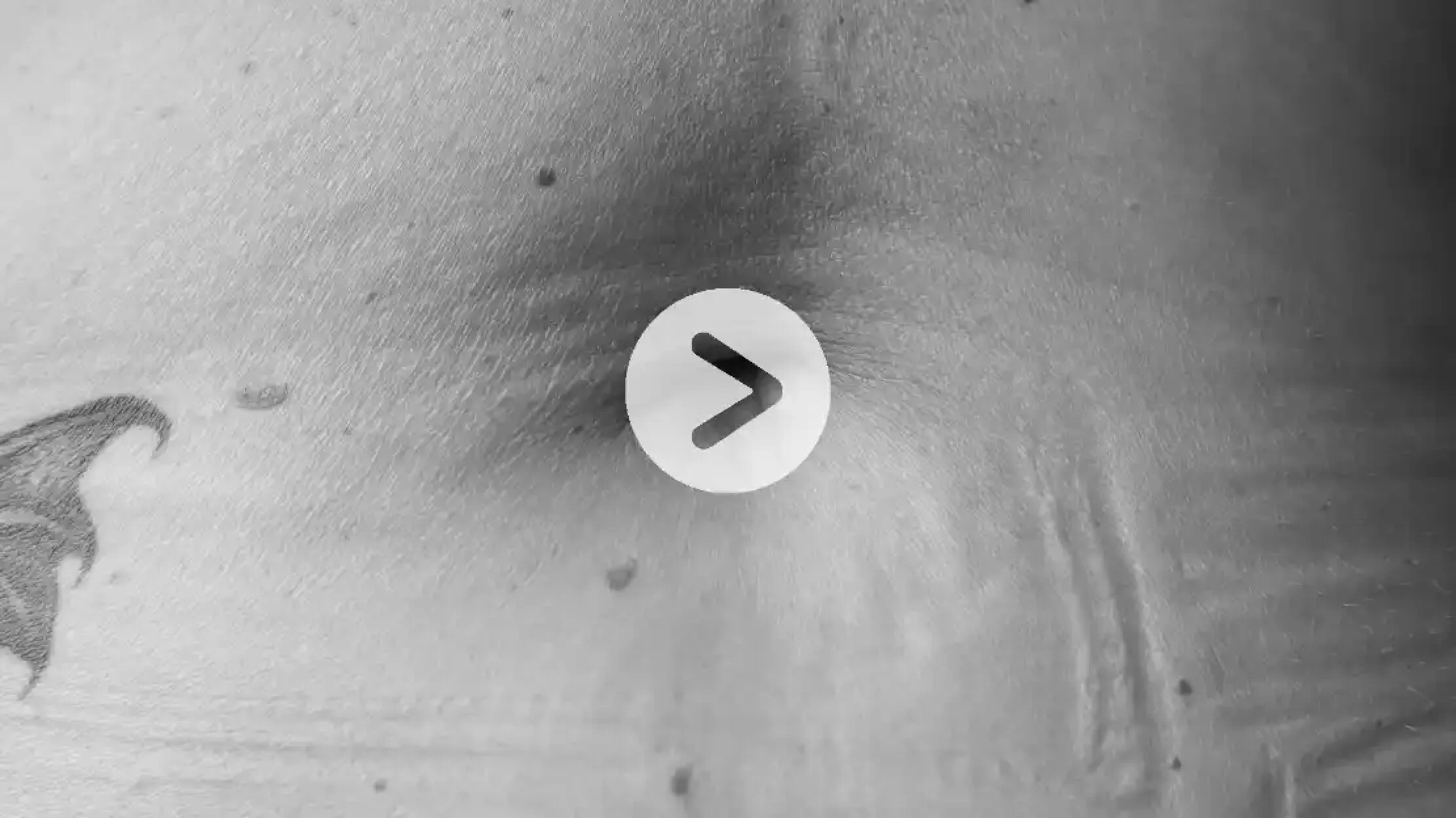 navel : never ending video project